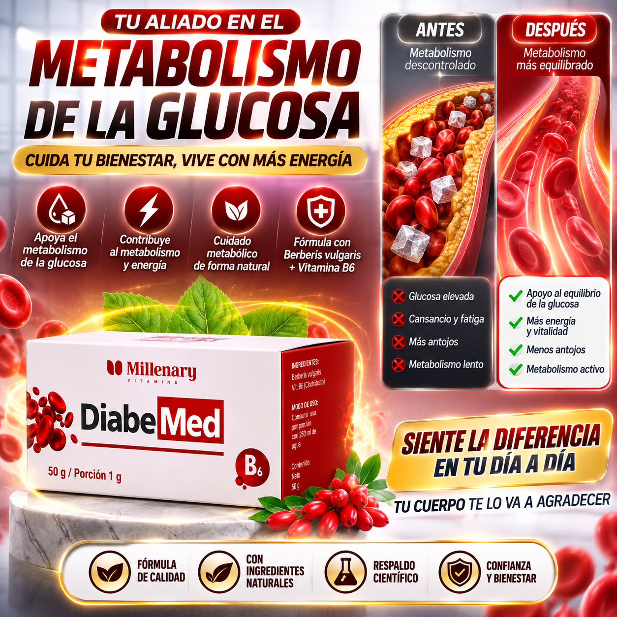 DiabeMed – Bienestar Metabólico | Berberina + Vitamina B6