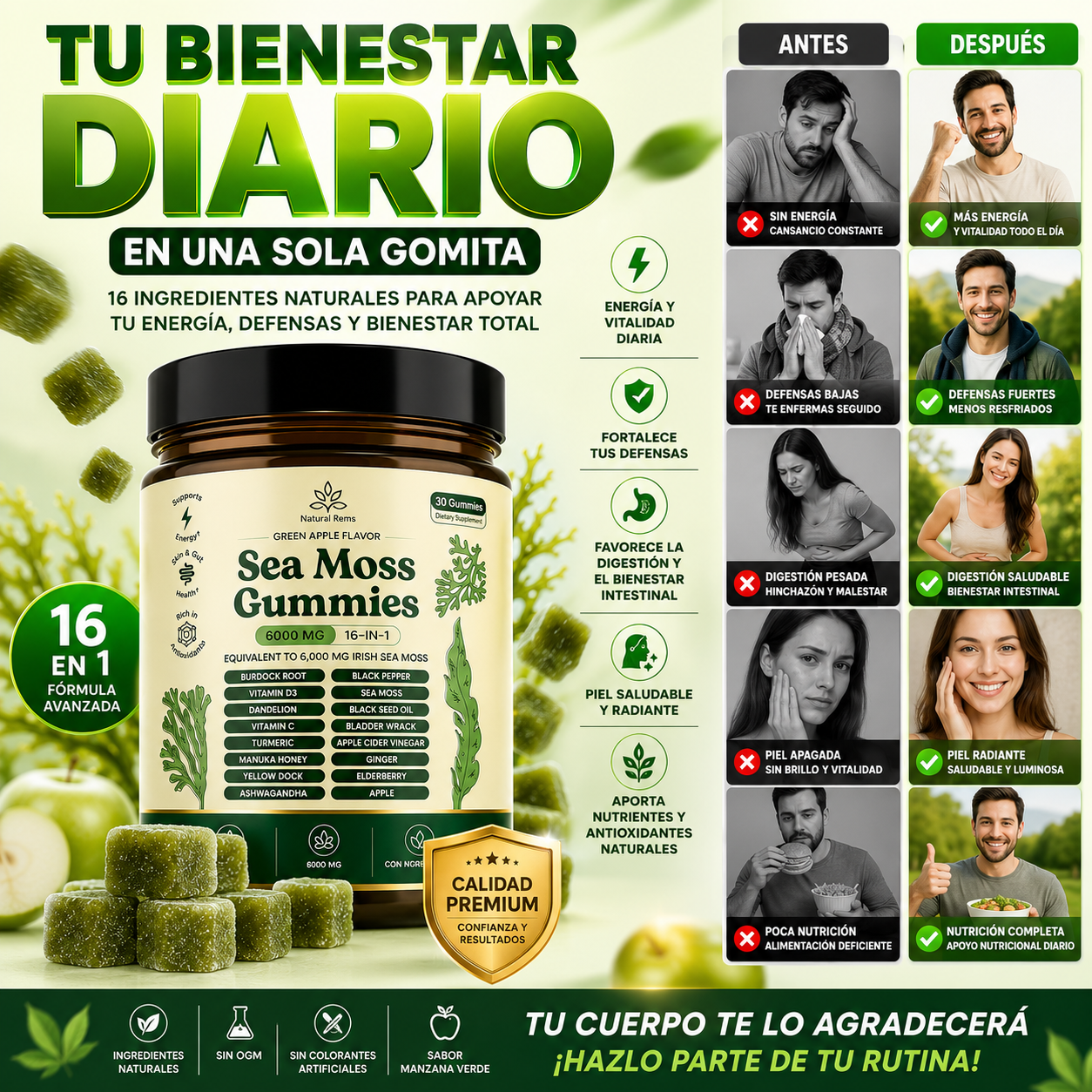 Gomitas de musgo marino